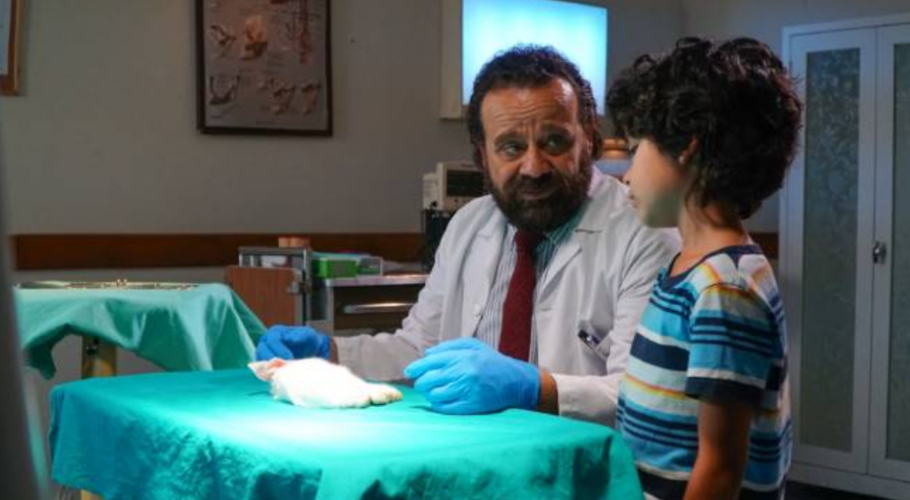 Serie turca Doctor Milagro en español